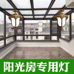 Glass sun room special ceiling lamp Chinese retro decorative chandelier villa indoor ultra-bright LED lighting fixtures