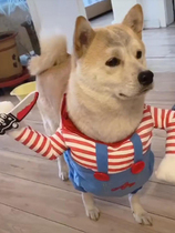 Zhuyuan deadly doll pet funny dog dog with knife clothecat dog funny creative cat with knife creative