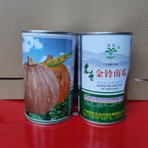 Nongpu Brand Golden Bell Pumpkin Seed 50g Guangzhou Academy of Agricultural Sciences Selected Hybrid Small Pumpkin Variety