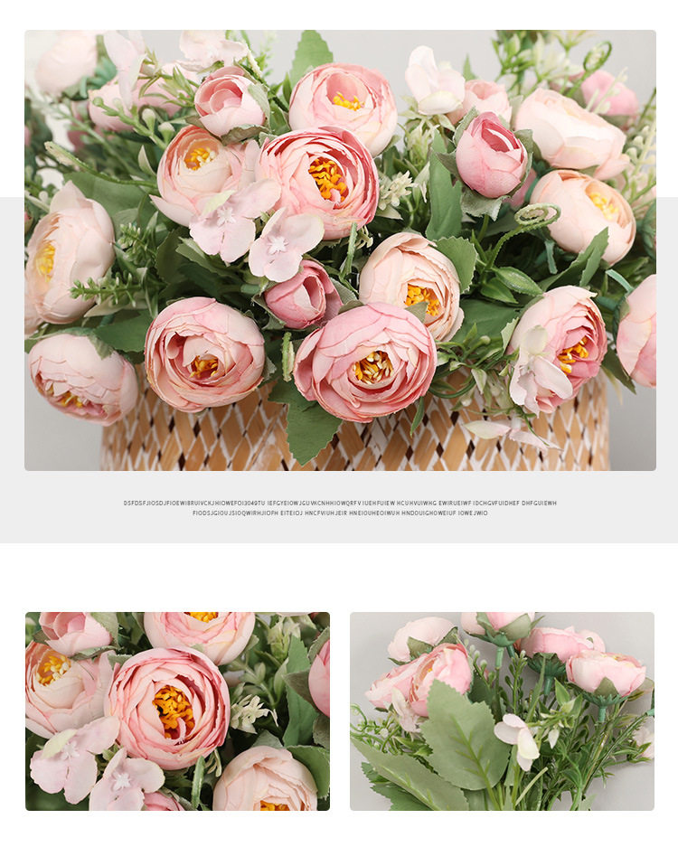 13503788735_1585245758