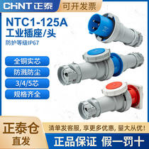 Zhengtai Airlines plug industrial socket 3 core 4 core 5 core 125a amother docking connector waterproof 380V IP67