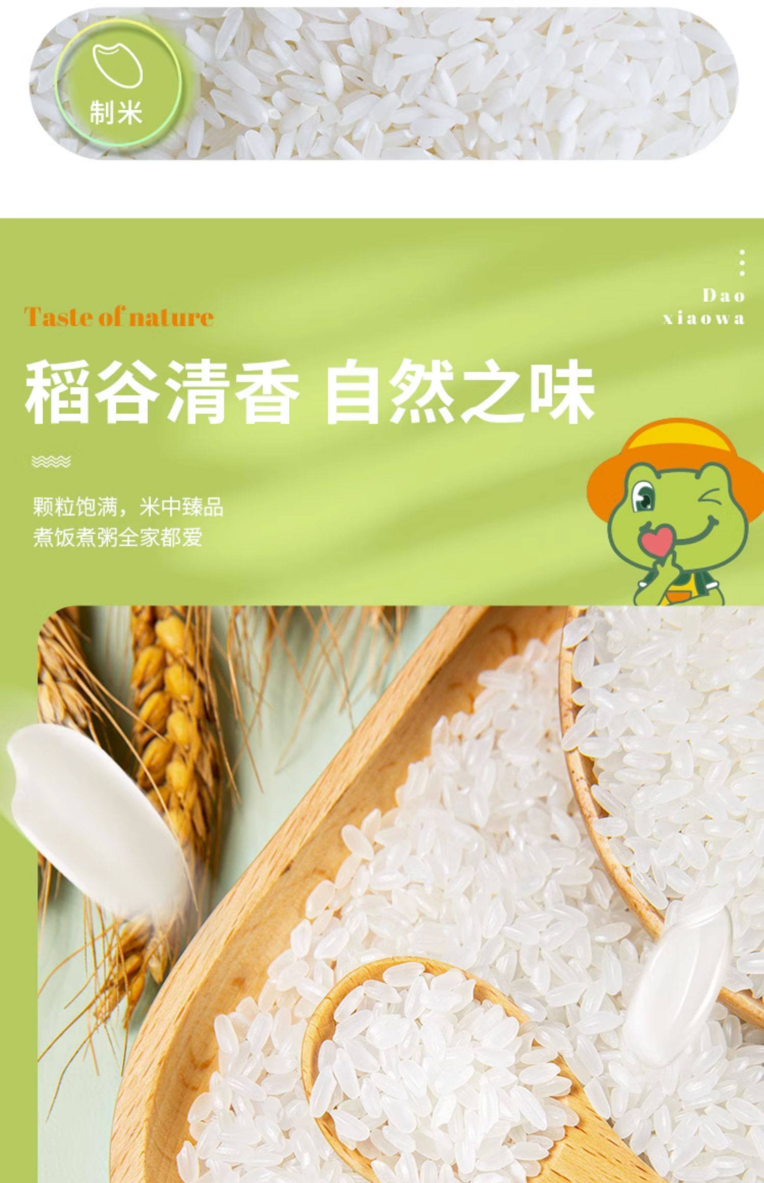 稻小蛙东北大米25kg黑龙江长粒香米5斤真空包装当季新稻新鲜好米