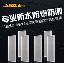 Lion Music BX204 Set Resistance Outdoor Waterproof Soundbar Wall-mounted Speaker Room Training Background Music Acoustics