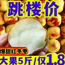 Shaanxi Dali winter jujube 5 catties of fresh fruit in season full box seasonal jujube crisp jujube fresh jujube sweet jujube