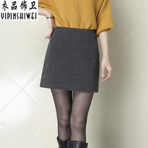 a-shirt female winter 2021 new hip high-rise umbrella skirt half-body short skirt a-shaped wrap skirt winter skirt
