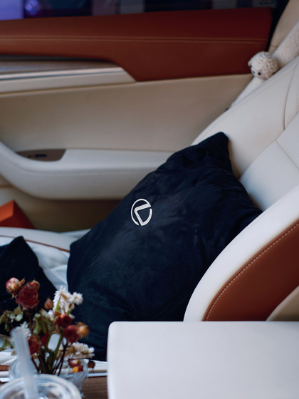 Lexus Car 자수 베개 퀼트 플러스 벨벳 두꺼운 ES/RX/NX/UX 자동차 장착 특수 자동차 수면 뒷줄에서 Lexus Car 자수 베개 퀼트 플러스 벨벳 두꺼운 ES/RX/NX/UX 자동차 장착 특수 자동차 수면 뒷줄에서