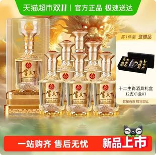 五粮液股份出品 一尊天下盛世佳品 52度浓香型白酒  整箱含礼袋