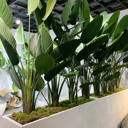 Simulated plantain beautiful traveler banana tropical Nordic office living room floor fake green plant small potted landscape decoration