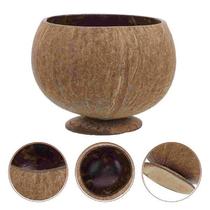 Coconut Shell Bowl Cups Coconuts Fruits Dessert Unique