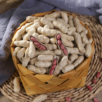 Wood shell 2020 new peanut raw peanut four-grain red shell raw peanut fried peanut