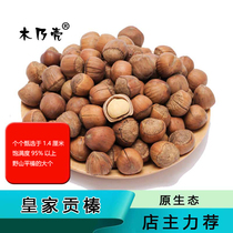 Nuts Northeast specialty Tieling Kaiyuan Royal wild hazelnut opening thin 500g new