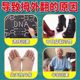 엄지 valgus 발가락 겹치는 안티웨어 큰 발 뼈 valgus 페이스트 엄지 valgus 발가락 겹치는 안티웨어 큰 발 뼈 valgus 페이스트