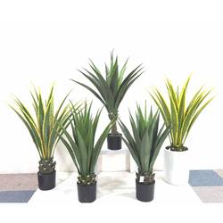 Nordic ins simulation green plant tropical plant agave sisal potted living room decoration landscaping ornaments fake tree