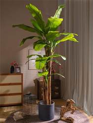 High-end extra large AC-668 simulated green broad-leaf banana tree planting indoor bionic tropical plant landscaping fake banana tree planting