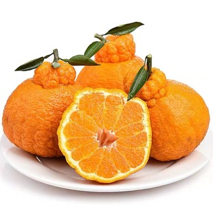 S四川不知火丑橘5斤水果新鲜当季整箱丑八怪耙耙桔柑橘子粑粑礼盒