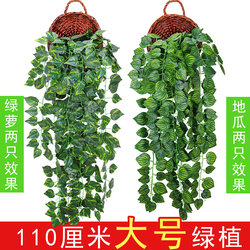 Simulated plant decoration blocking wall hanging green plant leaves green dill fake flower rattan indoor spider plant green leaves hanging