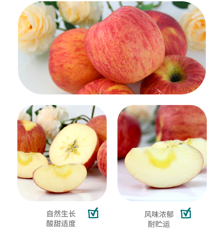 【都乐】陕西富士洛川苹果4.5斤礼盒装