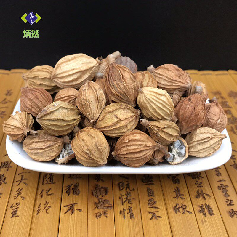 香砂仁500克金砂仁沙仁川砂仁 籽沙仁粉增香火锅香料包邮