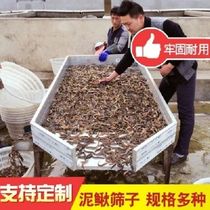 Loach and eel size grading filter sieve sorter stainless steel fish screen shrimp device replaceable sieve piece strong and durable