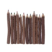 Branch Colored Pencils Natural Wooden Pencils Twig Pencil