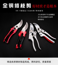 园艺剪刀果树修枝剪花艺植物园林省力剪子果树粗枝强力蝴蝶枝剪刀