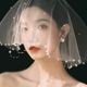 신부 웨딩 베일 짧은 진주 얼굴 커버 헤드 드레스 고급 사진 스튜디오 사진 사진 스타일 샘플 샘플 신부 웨딩 베일 짧은 진주 얼굴 커버 헤드 드레스 고급 사진 스튜디오 사진 사진 스타일 샘플 샘플