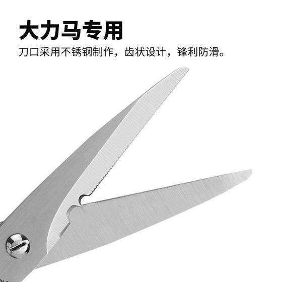 진정한 대만 좋은 파트너 N202 달리마 어업 및 낚시 가위 세트에서 낚시 선을위한 가위를위한 가위 특수 가위 진정한 대만 좋은 파트너 N202 달리마 어업 및 낚시 가위 세트에서 낚시 선을위한 가위를위한 가위 특수 가위