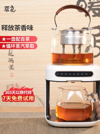 Cuili 증기 스프레이 차 쿠커 자동 차수 홈 티 마시는 기계 새로운 다기능 건강 냄비 Cuili 증기 스프레이 차 쿠커 자동 차수 홈 티 마시는 기계 새로운 다기능 건강 냄비