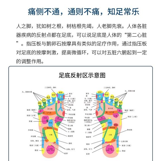 조깅 지압판 단독 마사지 패드 발가락 판 발기 발자국 발걸음 밑창 단독 자오선 연습 연습 연습 소프트 z 접착제 압박 발 조깅 지압판 단독 마사지 패드 발가락 판 발기 발자국 발걸음 밑창 단독 자오선 연습 연습 연습 소프트 z 접착제 압박 발