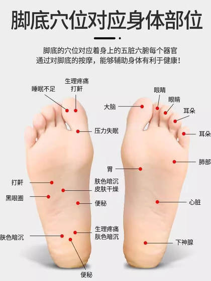 발 마사차 발 마사지 기기 롤러 발 마사지 문지름 발 마사지 도구 가정용 침대 발 발 마사차 발 마사지 기기 롤러 발 마사지 문지름 발 마사지 도구 가정용 침대 발