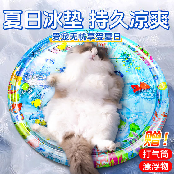 Cat water mattress pet pat water mattress large inflatable water injected ice pad thickened water mattress anti-scratch dog toys
Cat water mattress pet pat water mattress large inflatable water injected ice pad thickened water mattress anti-scratch dog toys