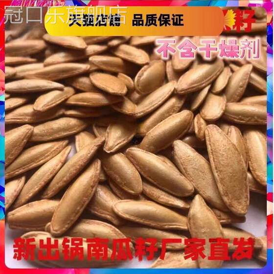정통 신진 신 정통 신진 신