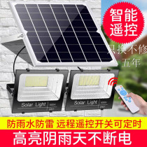 Solar led indoor outdoor street light garden light super bright split rural high power one drag two floodlight