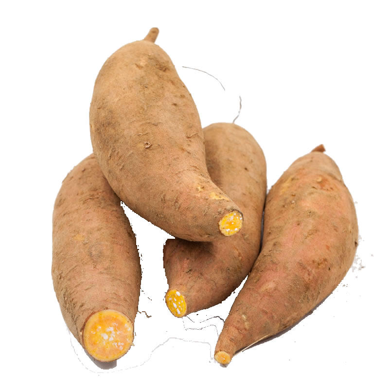 天猫【5斤装】新鲜沙地现挖农家黄心蜜薯