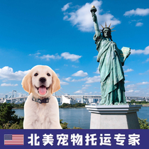 International Pet Shipping to the United States Pet Return Service Procedures for Cats and Dogs to Return to the United States