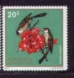 Rwanda-1 Bird animal