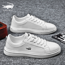 Crocodile White Shoes Men's Fall Winter Leather Joker Men's White Board Shoes Autumn New Youth Leisure Sports White Shoes