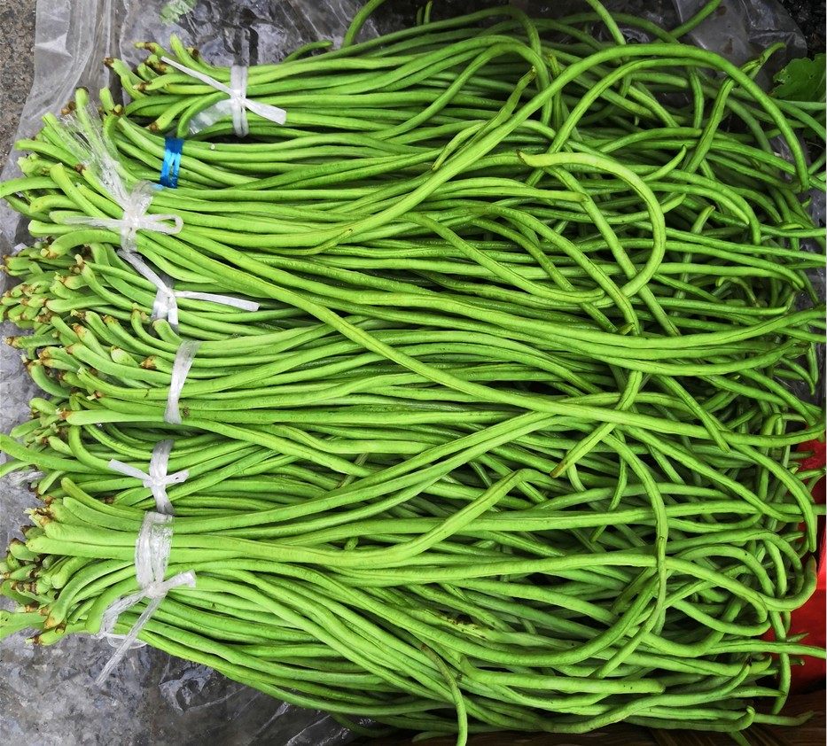 新鲜豇豆长豆角嫩姜豆角豆挂豆角长豇豆酸豆角原材料农家自种包邮
