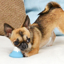 Japan imported pet dog dog toy ILOG natural latex Fuji vanilla fragrance does not sound 1