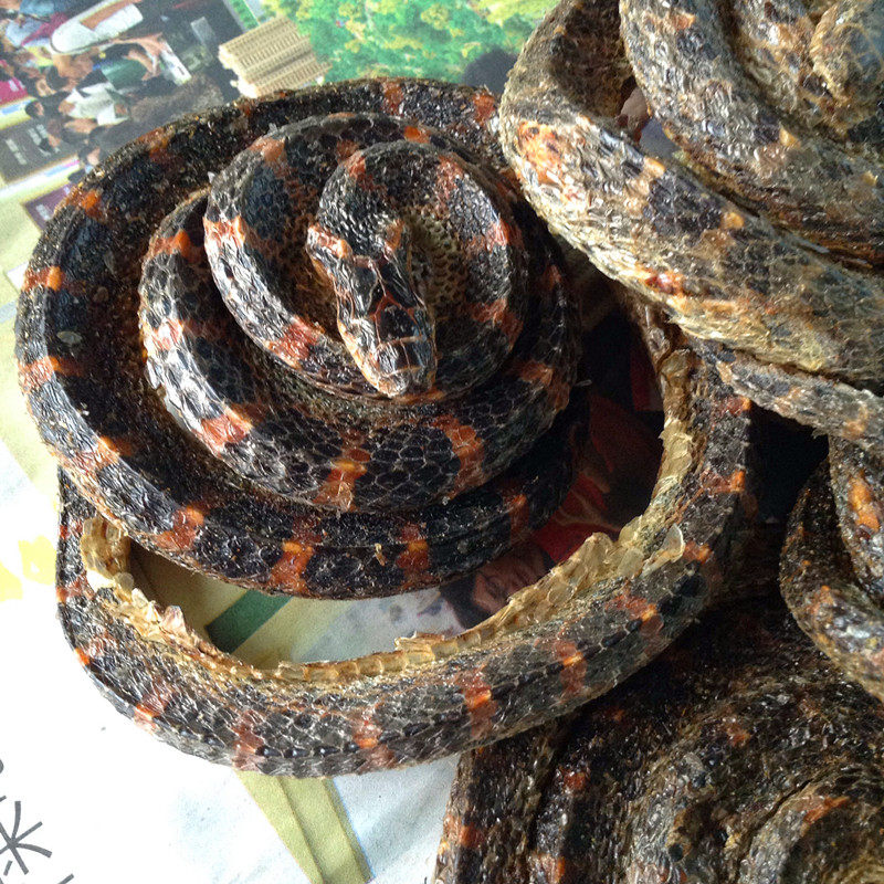 广西特产海蛇干货环蛇除风去湿煲汤湿泡酒料黄花蛇干肉满3条包邮