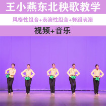 Wang Xiaoyan Northeast Seedlings Song Teaching Materials Basic Work Composition Finished Dance Performance Composition Dance Video Tutorial Music