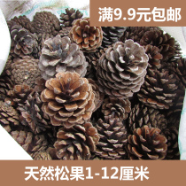 Handmade materials creative diy natural ornaments pine cone pine nuts dried flowers fruit decorative branches dried branches