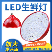 Raw fresh light led cooked food lamp vegetable fruit halibut