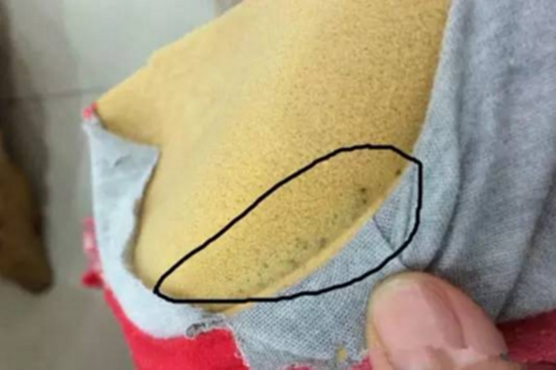 每天穿的内衣到底有多脏,你知道吗?