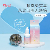 Yee gold silk bear hamster mouthwash to prevent cheek cystitis germicidal cleaning of oral cavity except mouthing rabbit small darling