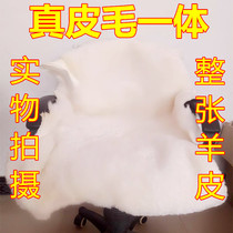 Whole sheepskin wool sofa cushion pure wool carpet leather wool integrated seat cushion seat cushion floating window cushion Wool Cushion