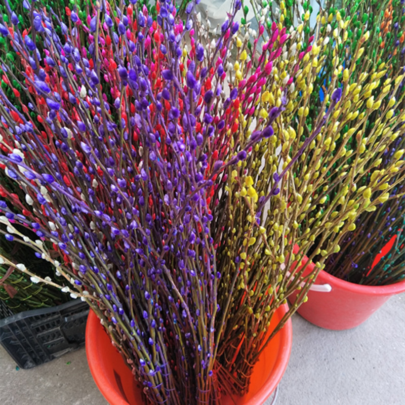 年宵花彩色银柳干花瓶插花真柳条鲜枝银柳摆放时间长多色可选_7折现价
