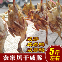 Anhui specialty marinated salted pork Air-dried salted Teng Salted pork duck farm homemade Tu Lao duck red-faced duck whole price of 5 pounds