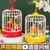 Sonic simulation bird cage with bird toy bird jitter the same boy 3 years 2 - 1 3 baby 5 1 girl