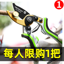 Flower pruning savage fruit tree pruning scissors powerful flower pruning garden art pruning flower cutting scissors